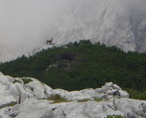 kam-ost-2014-002.jpg