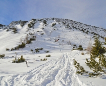 DSC_0682.jpg