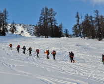 DSC_0409.jpg