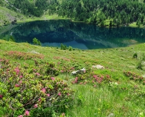DSC_0241 - Kopie.JPG